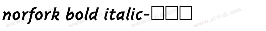 norfork bold italic字体转换
